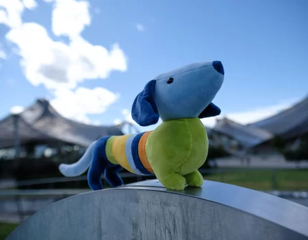 Neues Besichtigungsprogramm ab 8. September im Olympiapark
