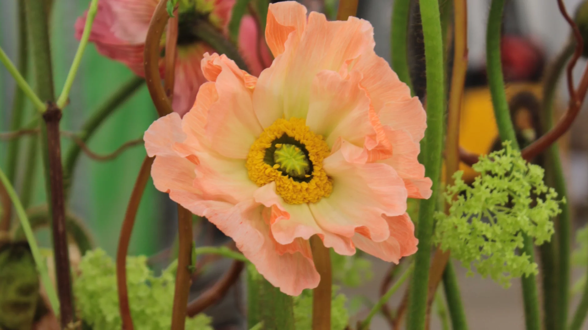 Flower exhibition of the final works