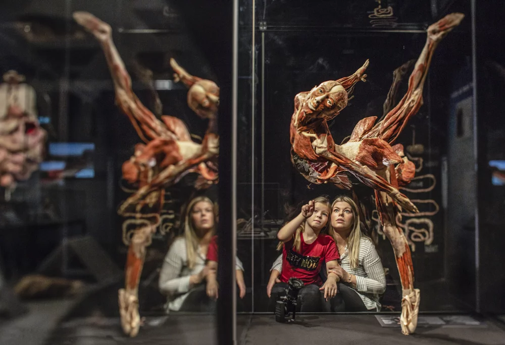 Body Worlds