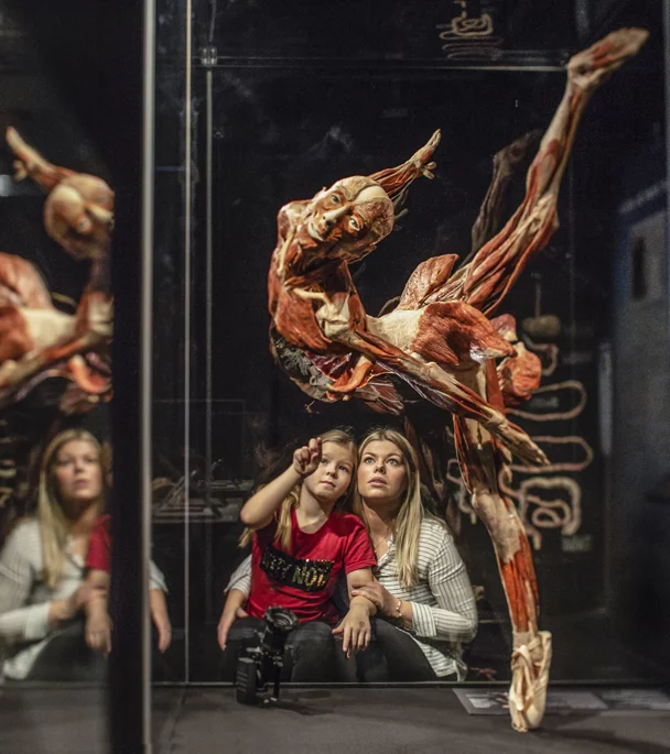 Body Worlds