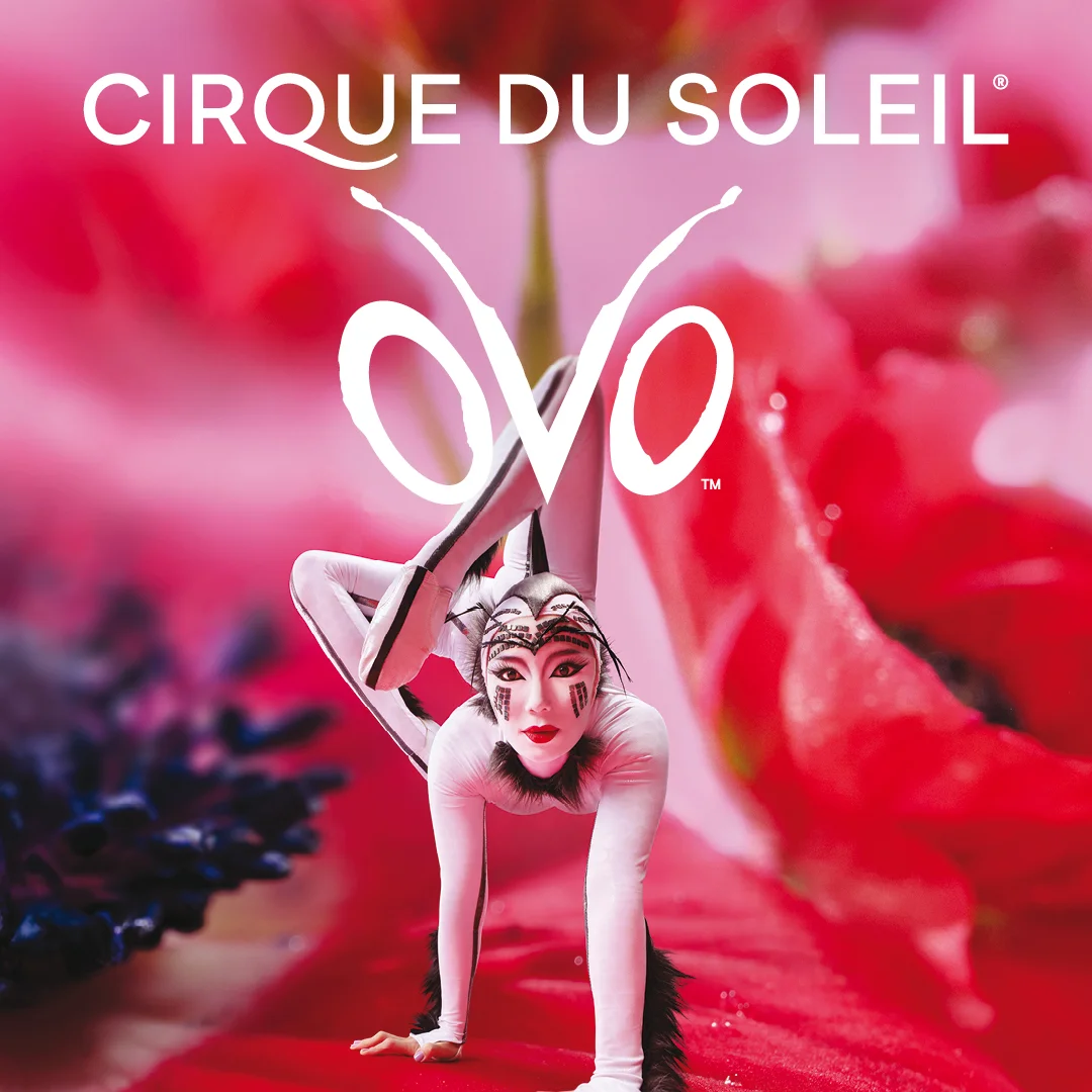 Cirque du Soleil